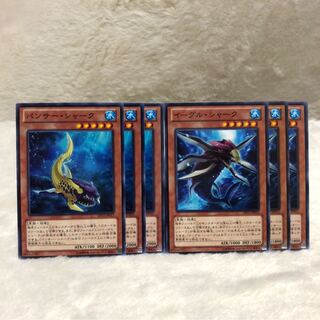 パンサー・シャーク　イーグル・シャーク