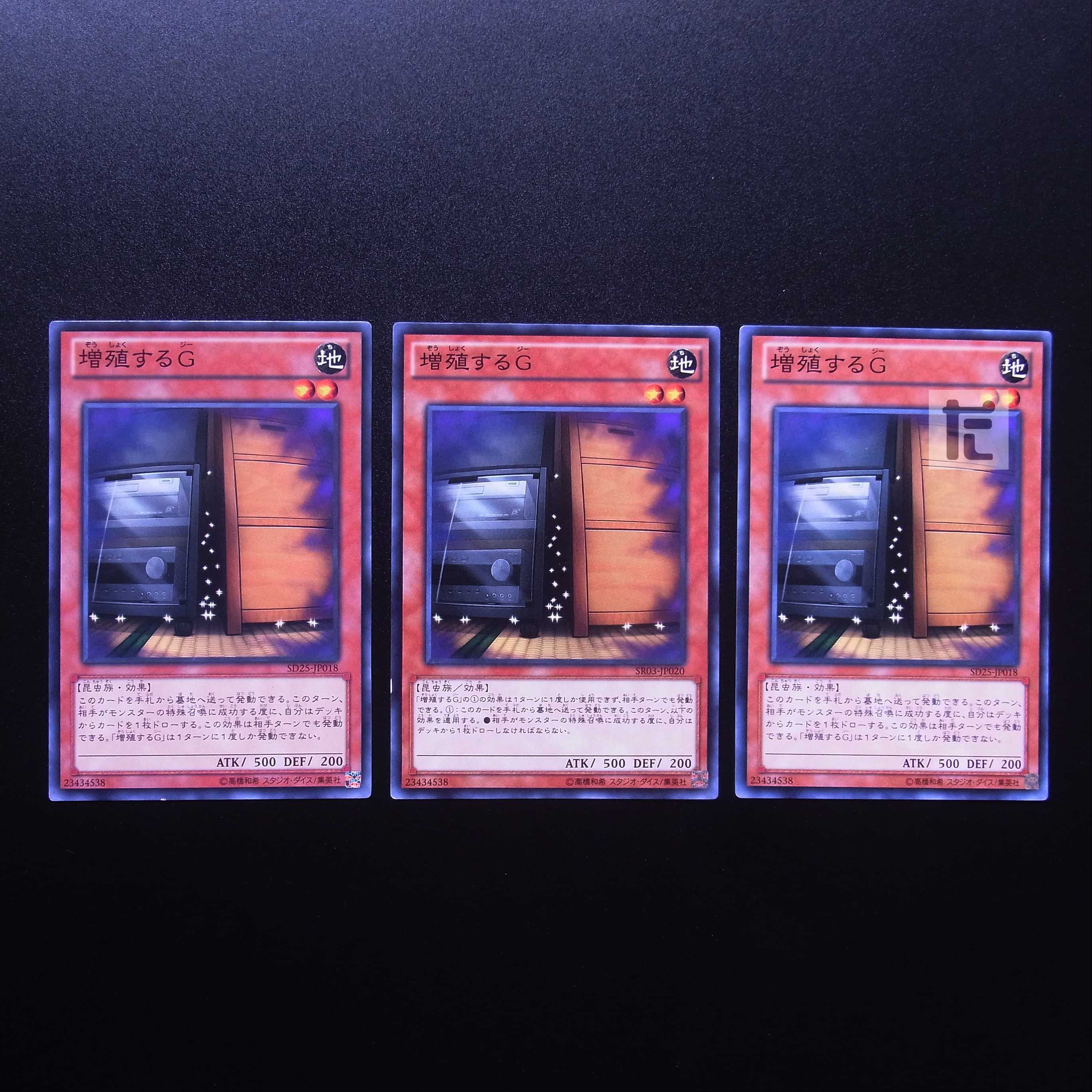 Maxx "C" Normal, set of 3 / Management:MY0641