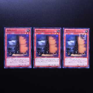 Maxx "C" Normal, set of 3 / Management:MY0641