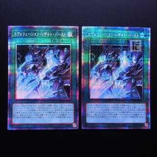 Evolution Result Burst Plissik, set of 2 /Managed by MY0635