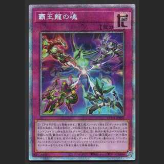 Soul of the High Dragon [Nia] Prisik/Managed by MY0623