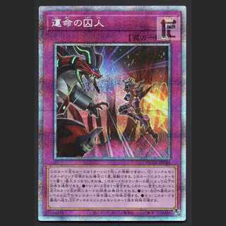 Prisoner of Fate [Nia] Prisik/Managed by MY0622