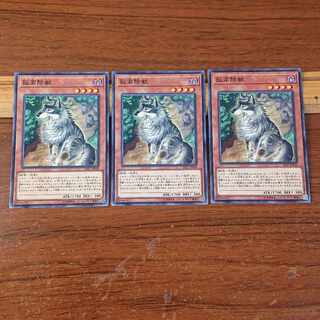 Aloof Lupine Normal rare JP030 3 copies