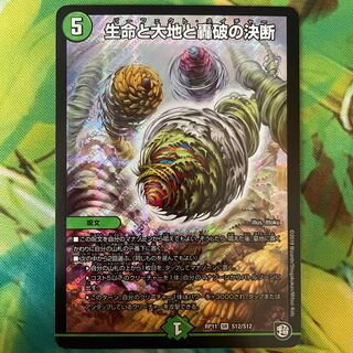 Life Life, Earth and Roaring Decision SR S12/S12