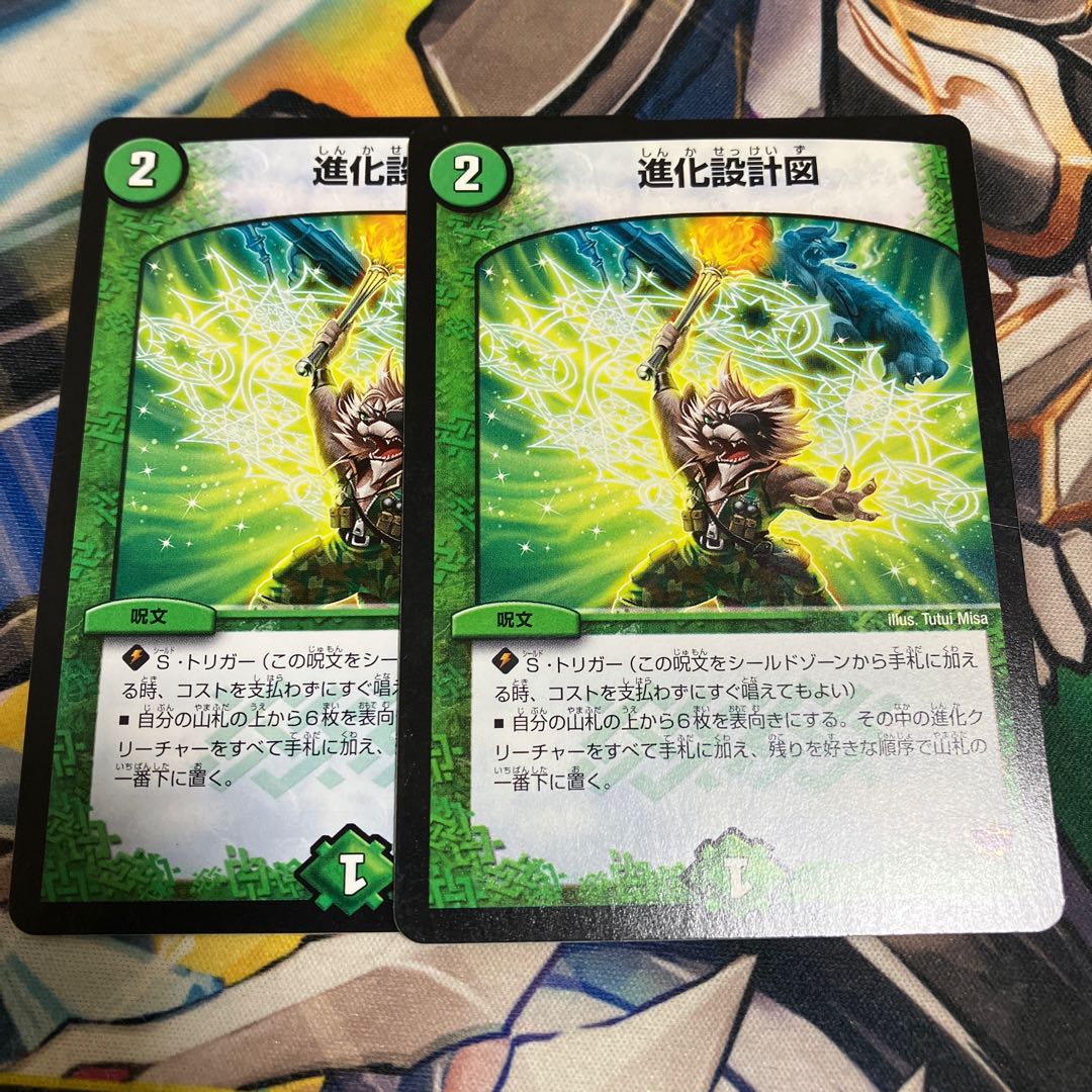 Evolutionary blueprint R 25/71