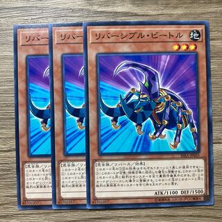 7495 リバーシブル・ビートル ノーマル JP035