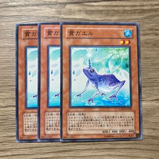 7501 貫ガエル ノーマル JP029