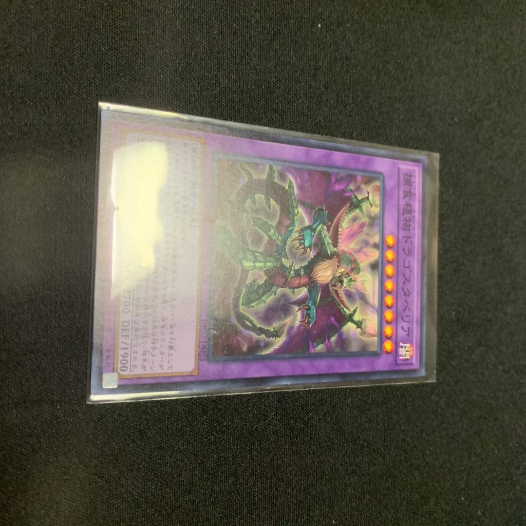 捕食植物ドラゴスタペリア ノーマル JP053