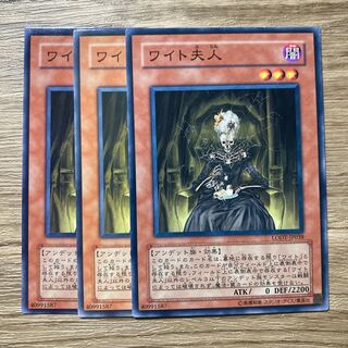 7510 The Lady in Wight $1161