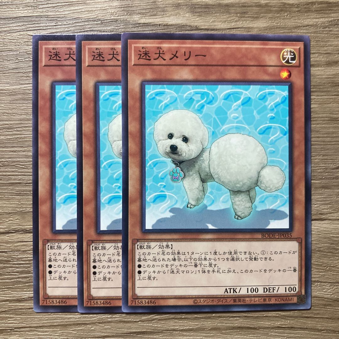 7514 Outstanding Dog Mary $1167