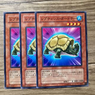 レプティレス・ガードナー $1171