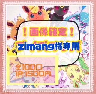 Dedicated to Mr. zimang 1枚