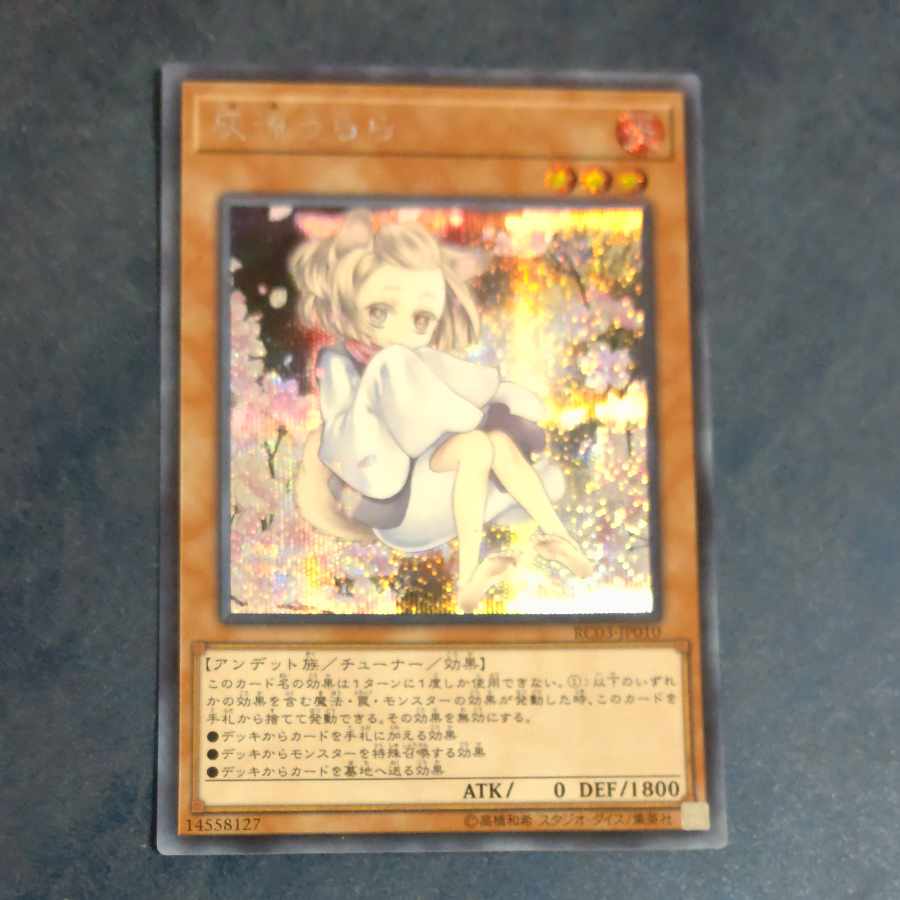 Ash Blossom & Joyous Spring (Umi Gaiji Illustration) Secret Rare JP010 [Korindo].
