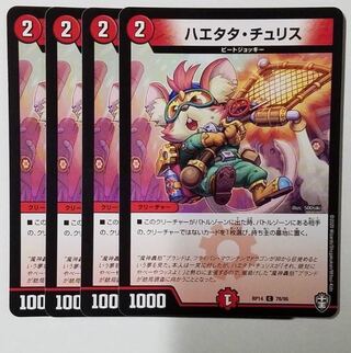 Haetata Chu Squirrel C 78/95