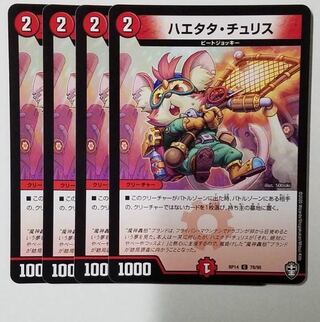 Haetata Chu Squirrel C 78/95