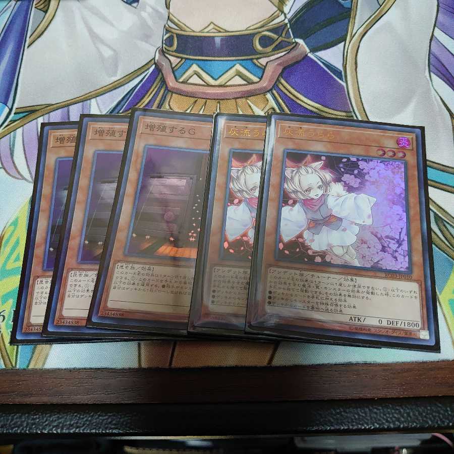 増殖するG、灰流うららセット