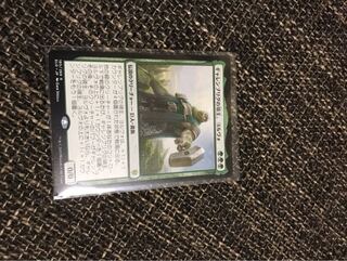 ギャレンブリグの領主、ヨルヴォ