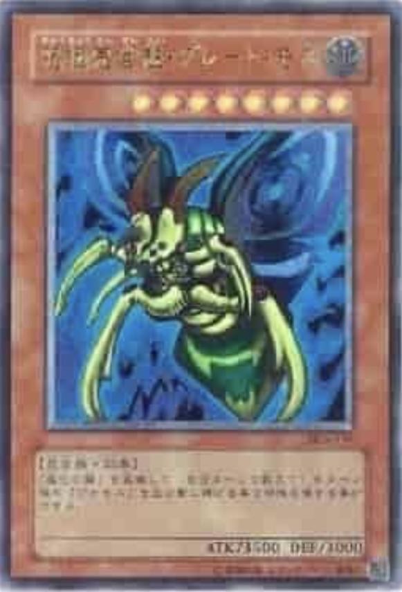 ブラックフライデーSALE ↓商品説明へ