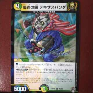 降壱の鎖 テキサスパンダ(キラ)