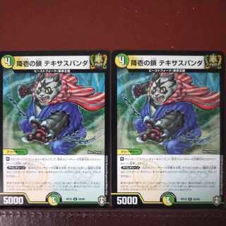 降壱の鎖 テキサスパンダ