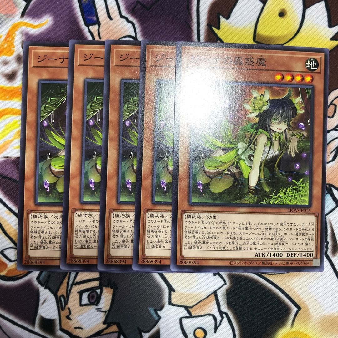 Traptrix Vesiculo Normal JP016