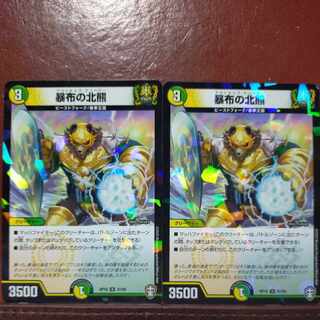 暴布の北熊(キラ)