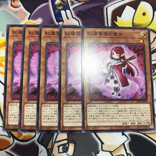 Ruddy Rose Witch Normal JP010