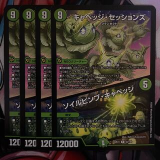 キャベッジ・セッションズ｜ソイルピンプ・キャベッジ R 52/130