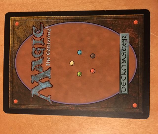 実物提示教育 英FOIL1枚 ジャッジ褒賞