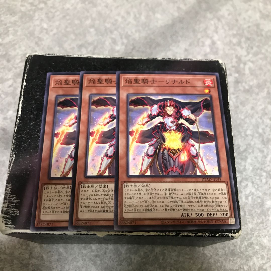 Flame Holy Knight - Rinaldo 3 normal