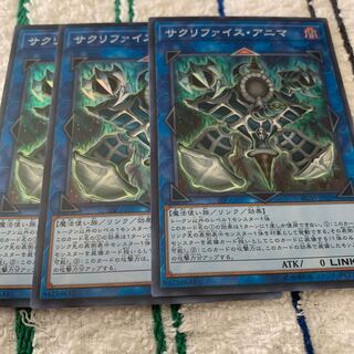 サクリファイス・アニマ