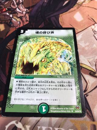 Call of the Soul U 64/84/Y8