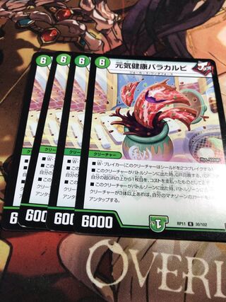 元気健康バラカルビ