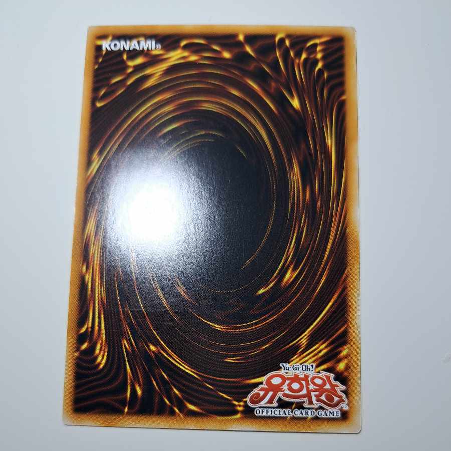 Black-Winged Dragon/Korean version/Relief/Immediate purchase ok♪