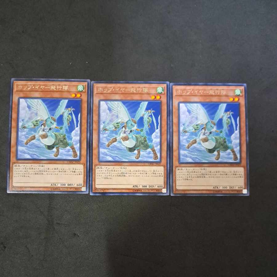 No.309 Yu-Gi-Oh Hop Year Flight Team