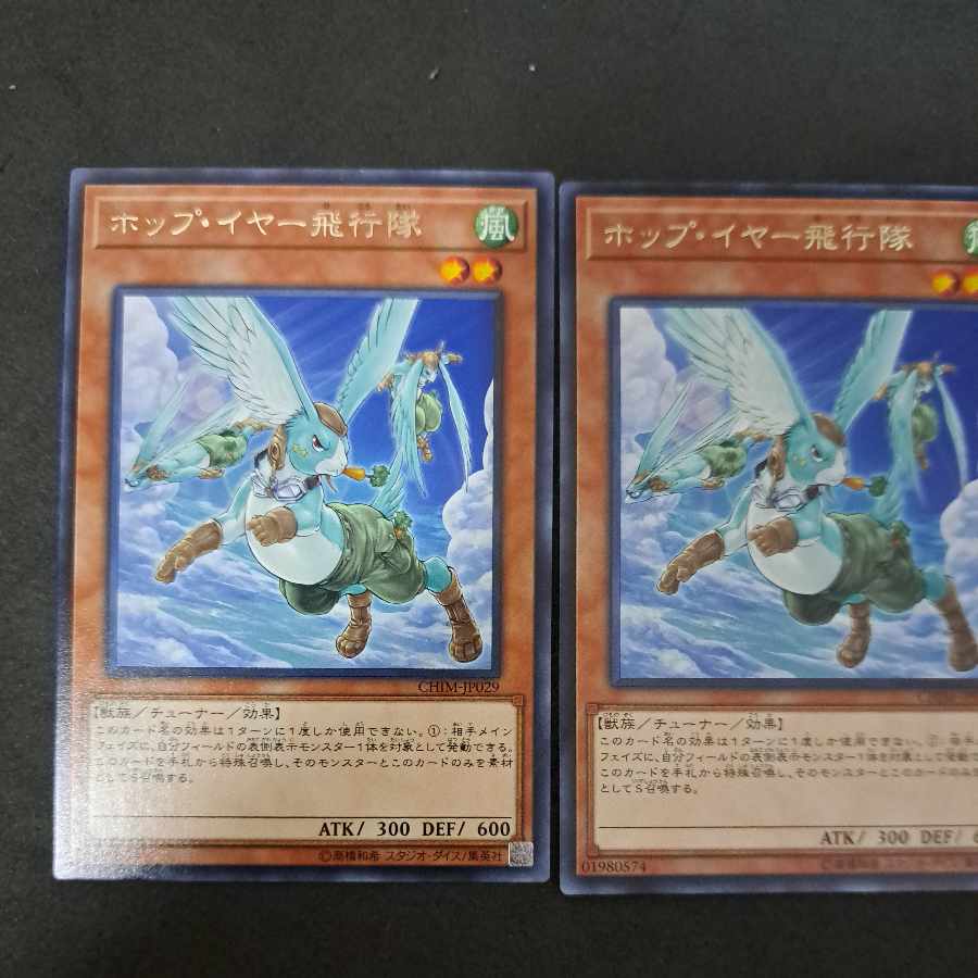 No.309 Yu-Gi-Oh Hop Year Flight Team