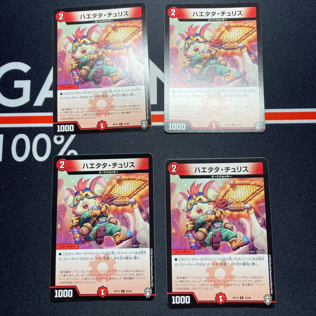 Haetata Chu Squirrel C 78/95