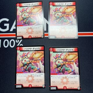 Haetata Chu Squirrel C 78/95