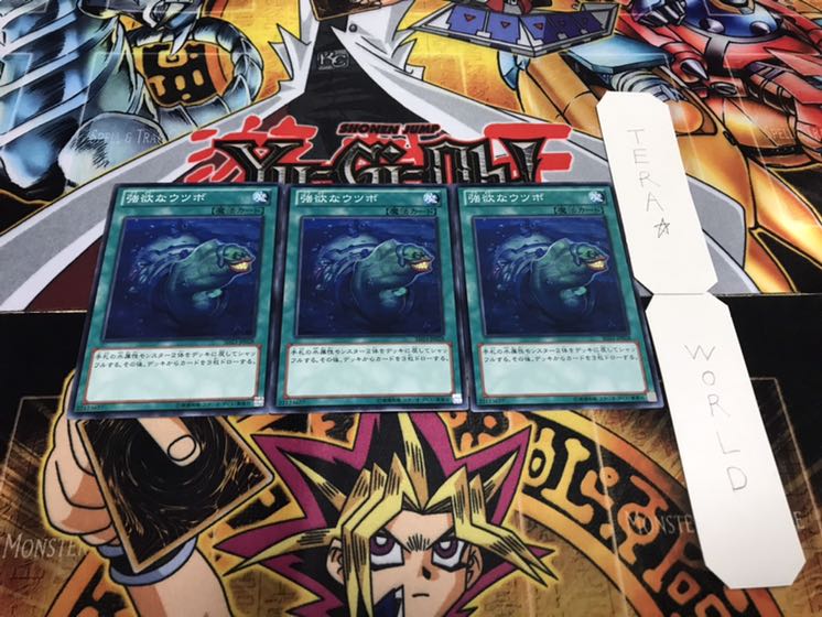 強欲なウツボ ノーマル 3枚セット