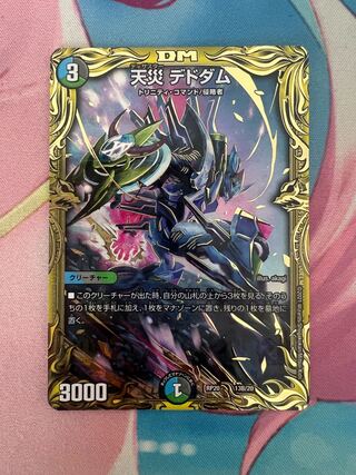 Natural disaster Dedham