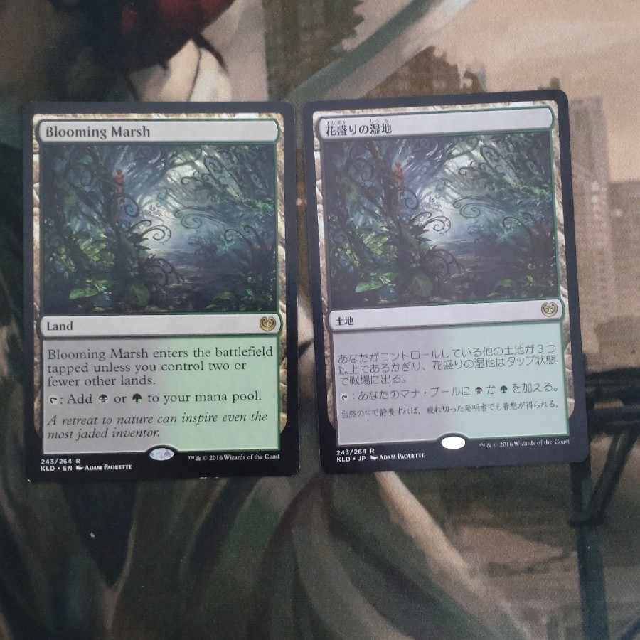 Blooming Marsh Rare 243/264 Summary 1枚