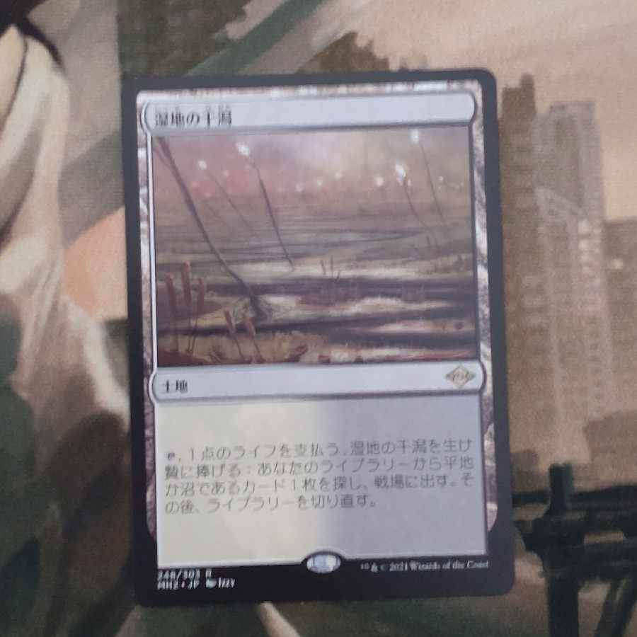 湿地の干潟 レア 248/303