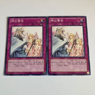 7544 Solemn Warning $1267