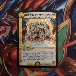 真実の名　タイガー•レジェンド