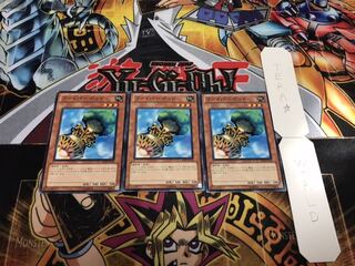 ファイバーポッド ノーマル 3枚セット