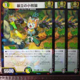 暴立の小熊猫(キラ)