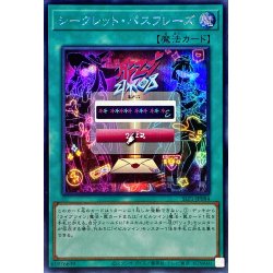 Secret Passphrase [Secret] {SLF1-JP084}