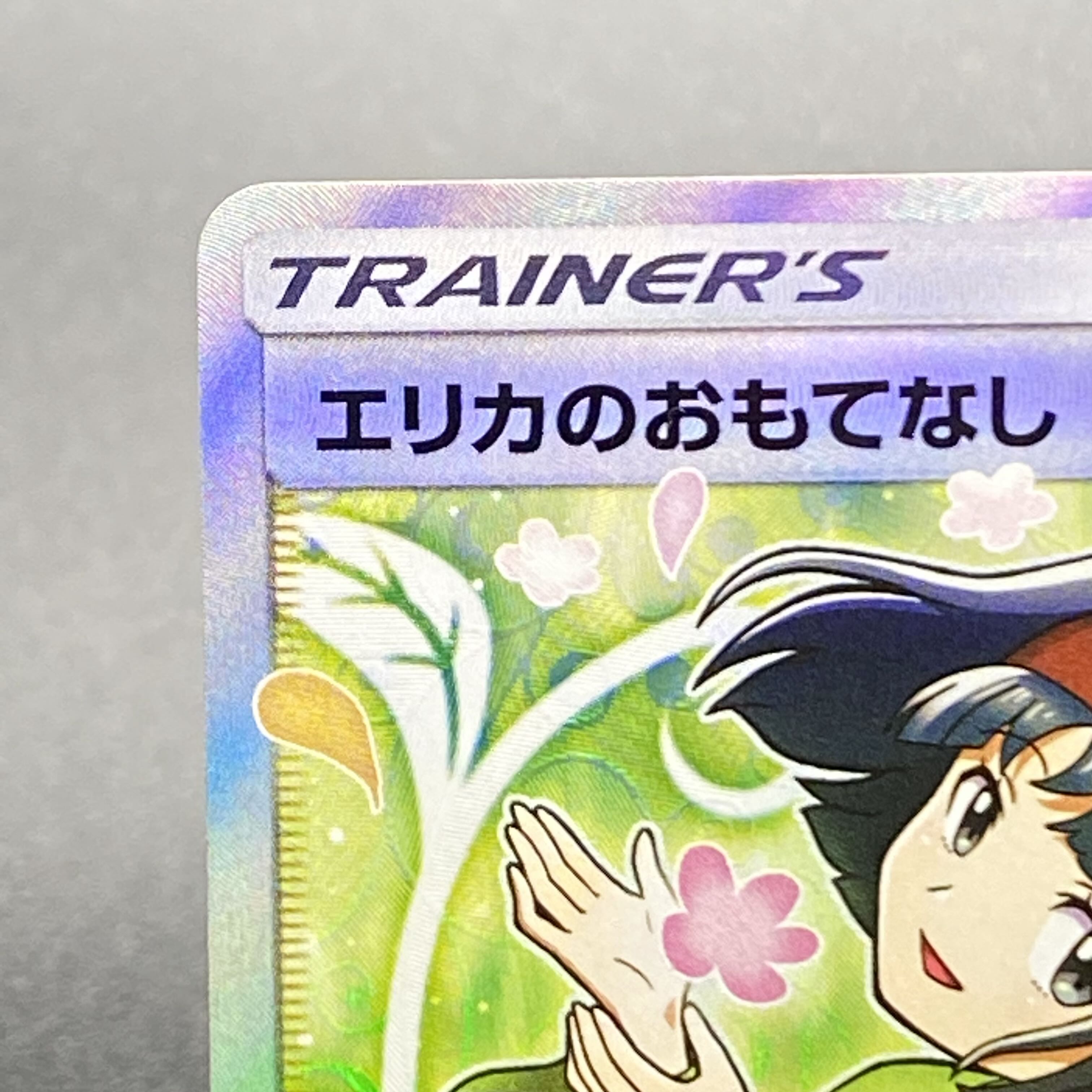 Erika's Hospitality SR 107/095