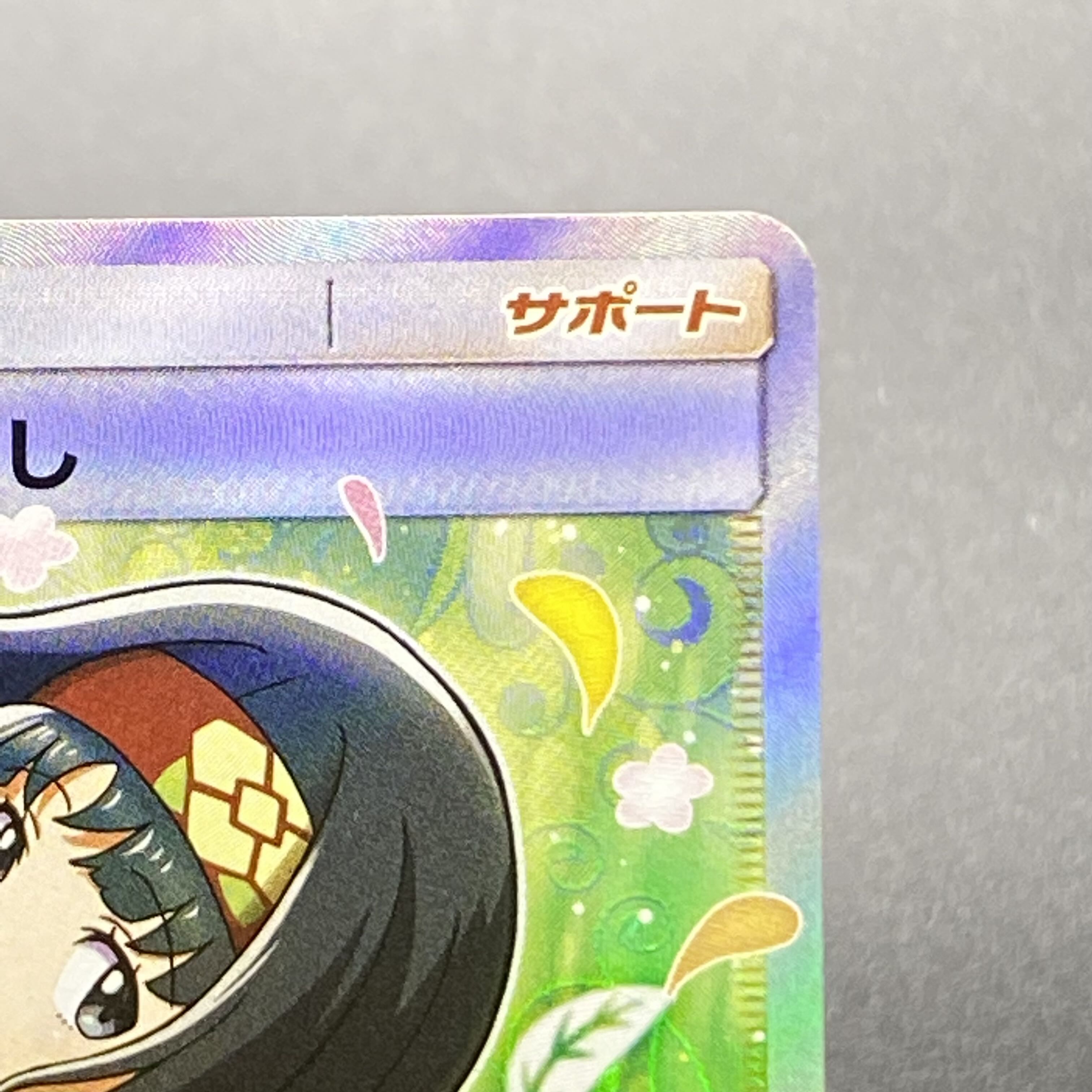 Erika's Hospitality SR 107/095