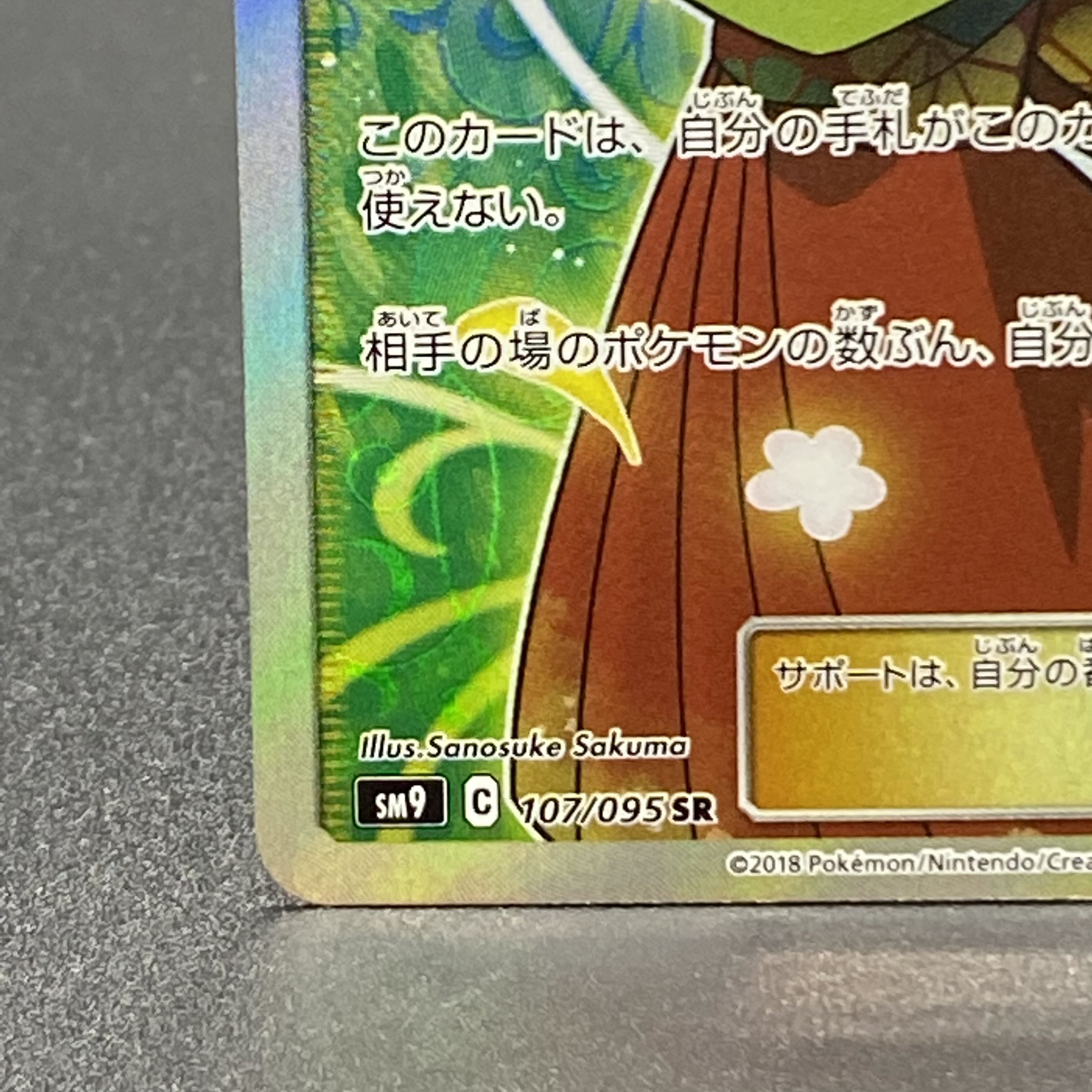 Erika's Hospitality SR 107/095